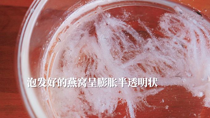 燕窝的做法 用鸡蛋牛奶隔水炖最养人 燕窝的做法|燕窝|燕窝的功效与作用|燕窝的做法|燕窝怎么吃|燕窝怎么做|燕窝怎么炖|