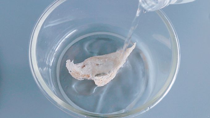 燕窝的做法 用鸡蛋牛奶隔水炖最养人 燕窝的做法|燕窝|燕窝的功效与作用|燕窝的做法|燕窝怎么吃|燕窝怎么做|燕窝怎么炖|