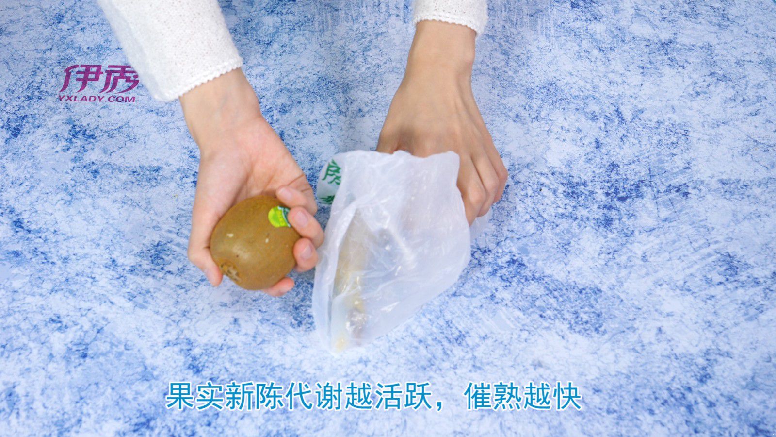 ⨺�����ô����|⨺�����ô����|⨺���|����|