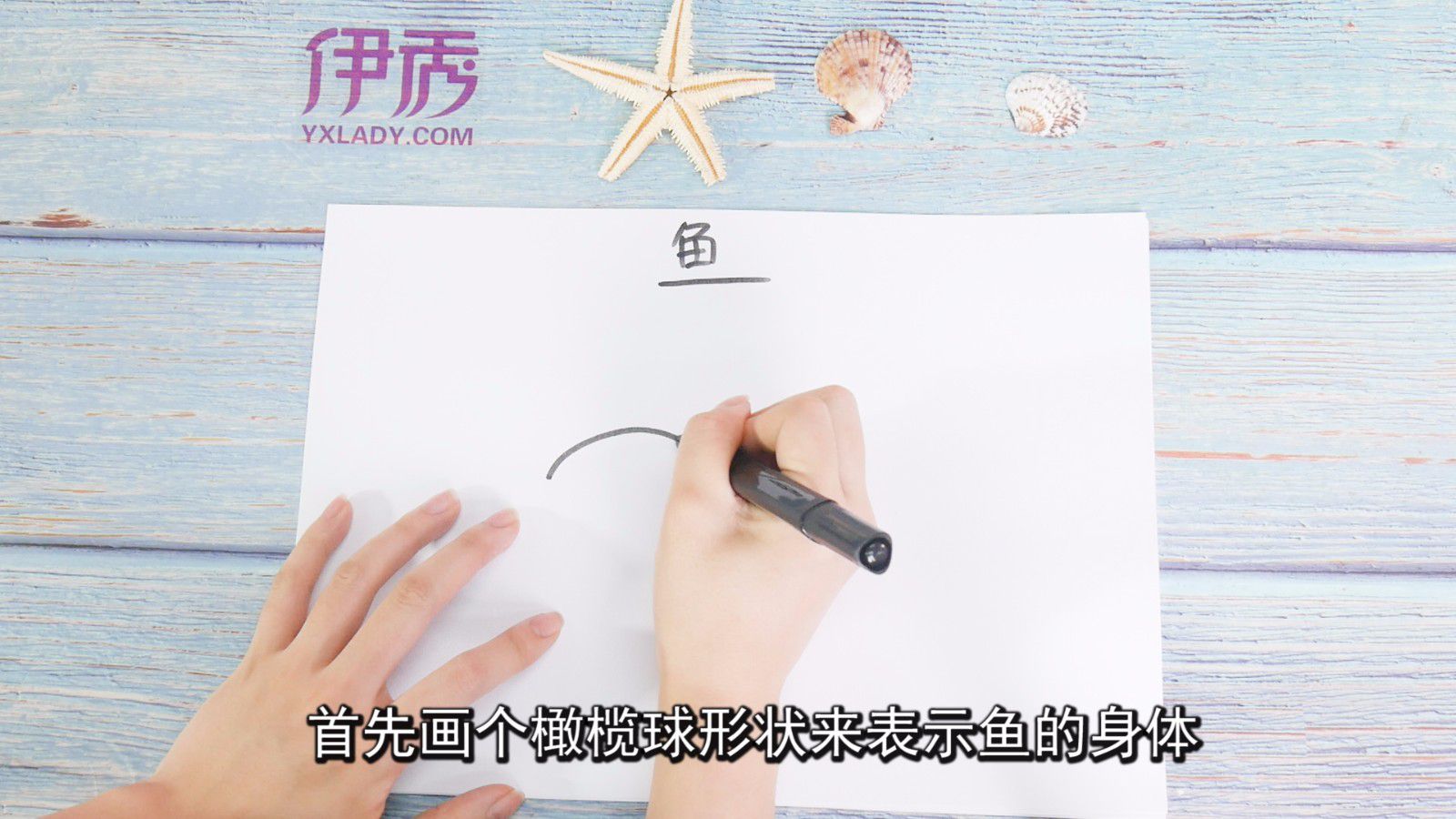 鱼图片可以这样画 简单又好看 鱼图片|鱼图片|