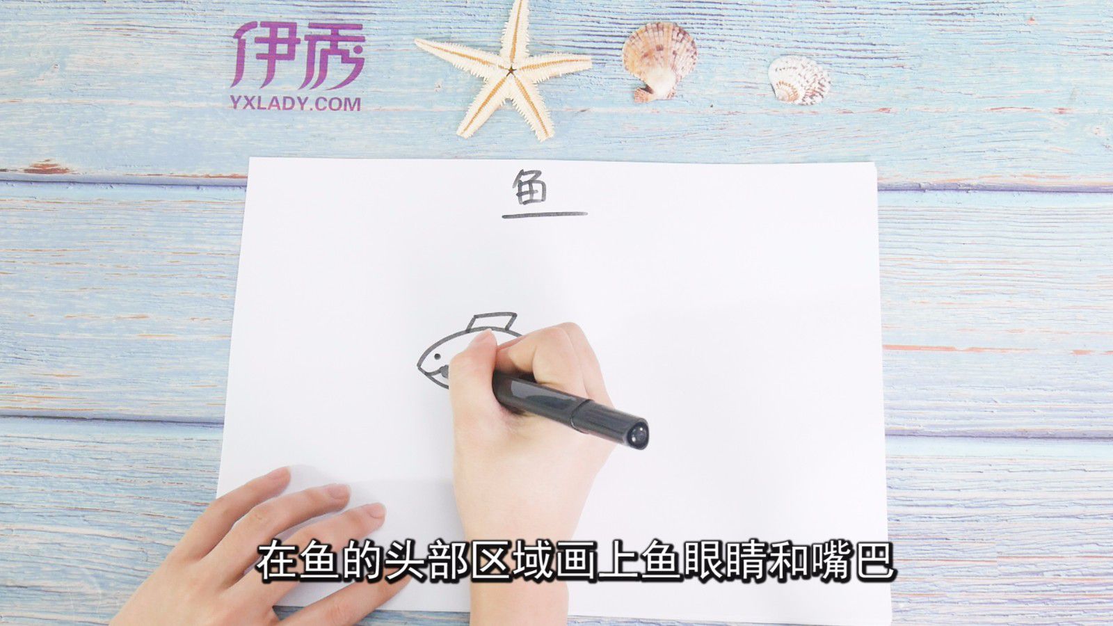 鱼图片可以这样画 简单又好看 鱼图片|鱼图片|