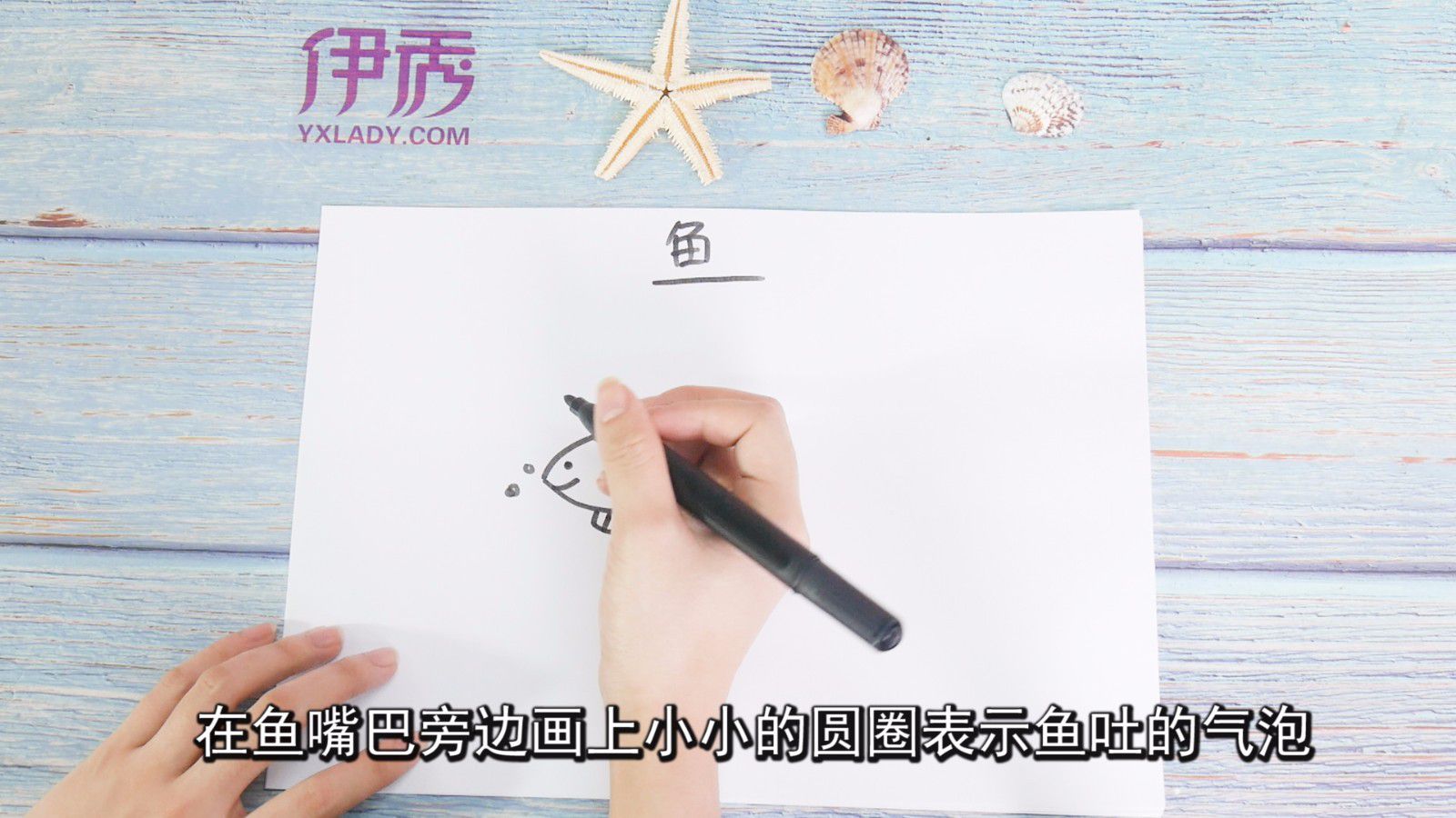 鱼图片可以这样画 简单又好看 鱼图片|鱼图片|