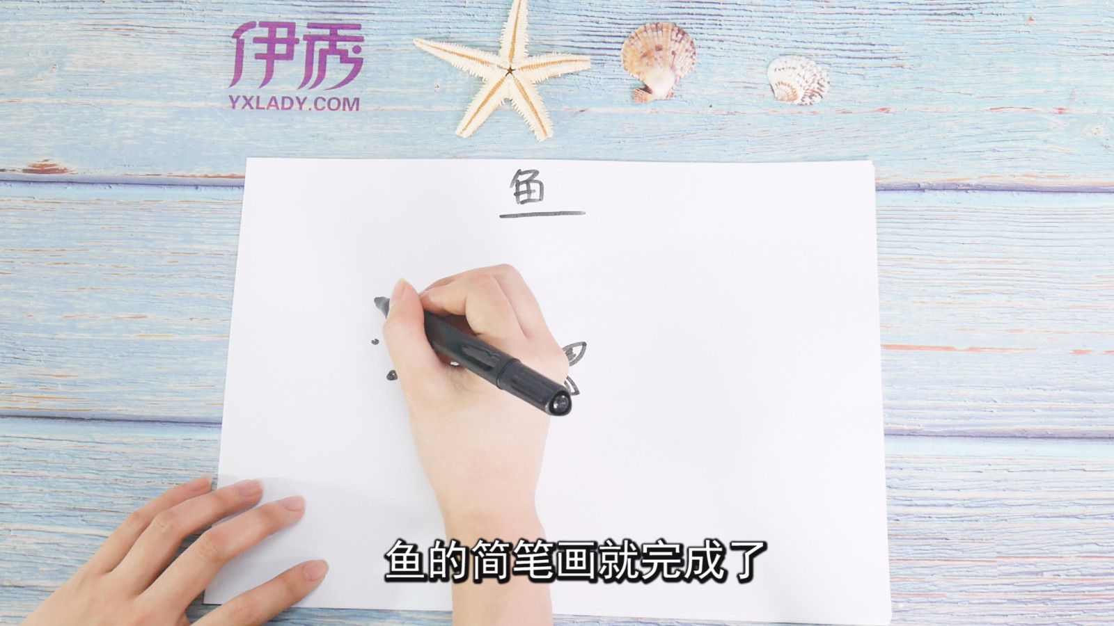 鱼图片可以这样画 简单又好看 鱼图片|鱼图片|