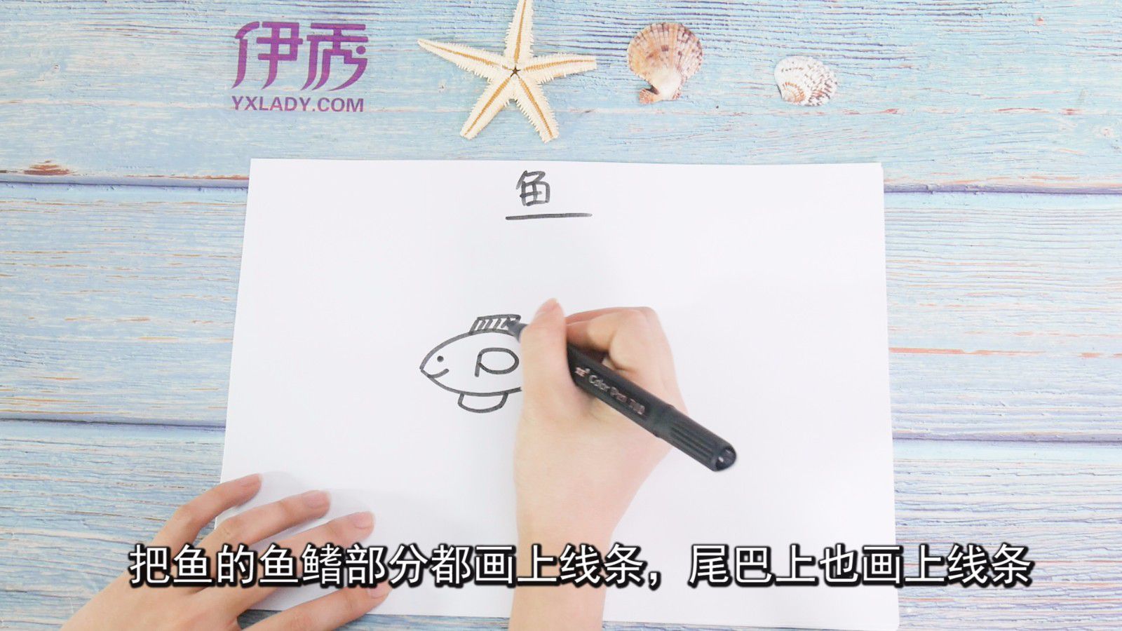 鱼图片可以这样画 简单又好看 鱼图片|鱼图片|