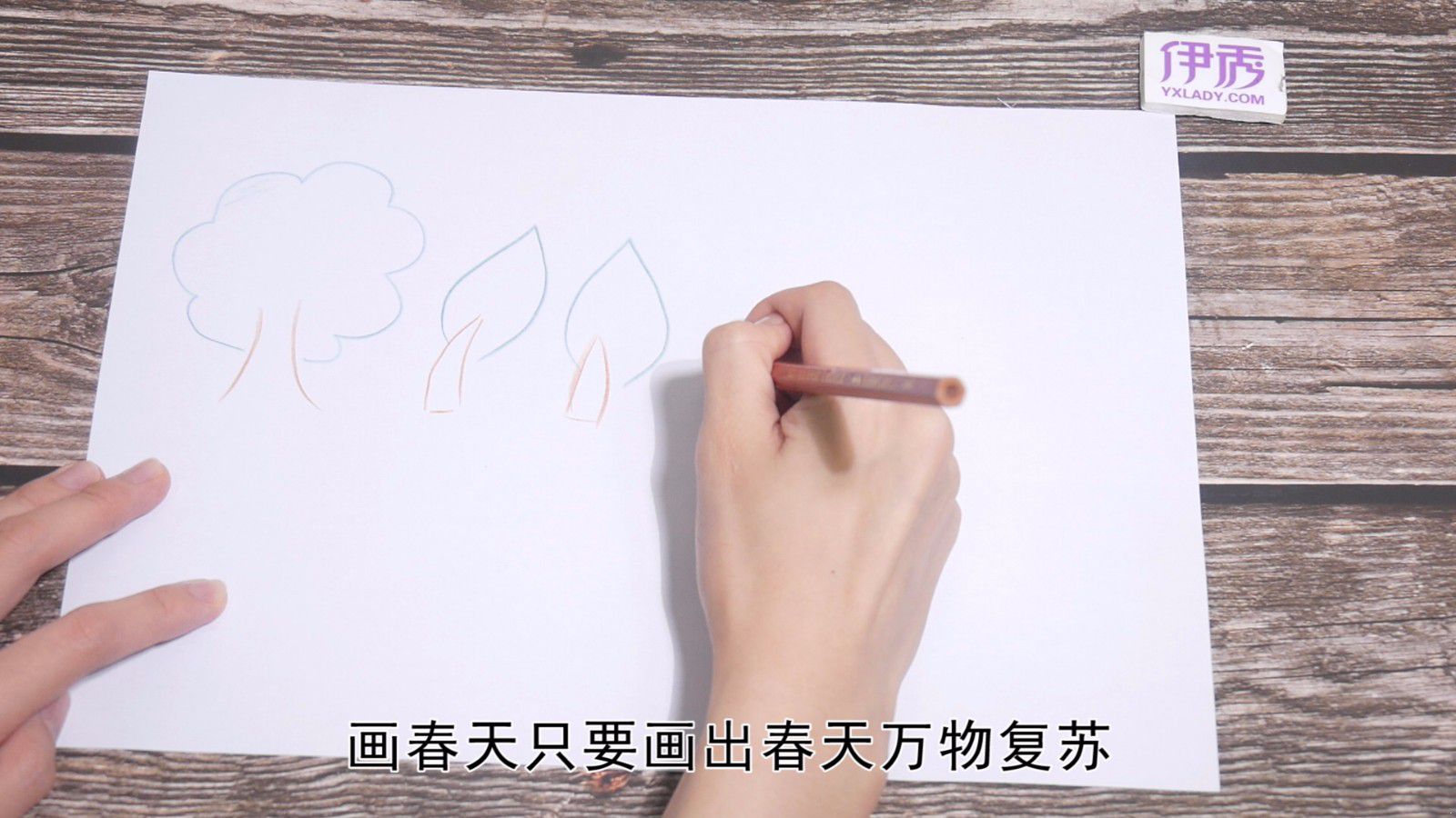 关于春天的画 教你简单又好看的方法 关于春天的画