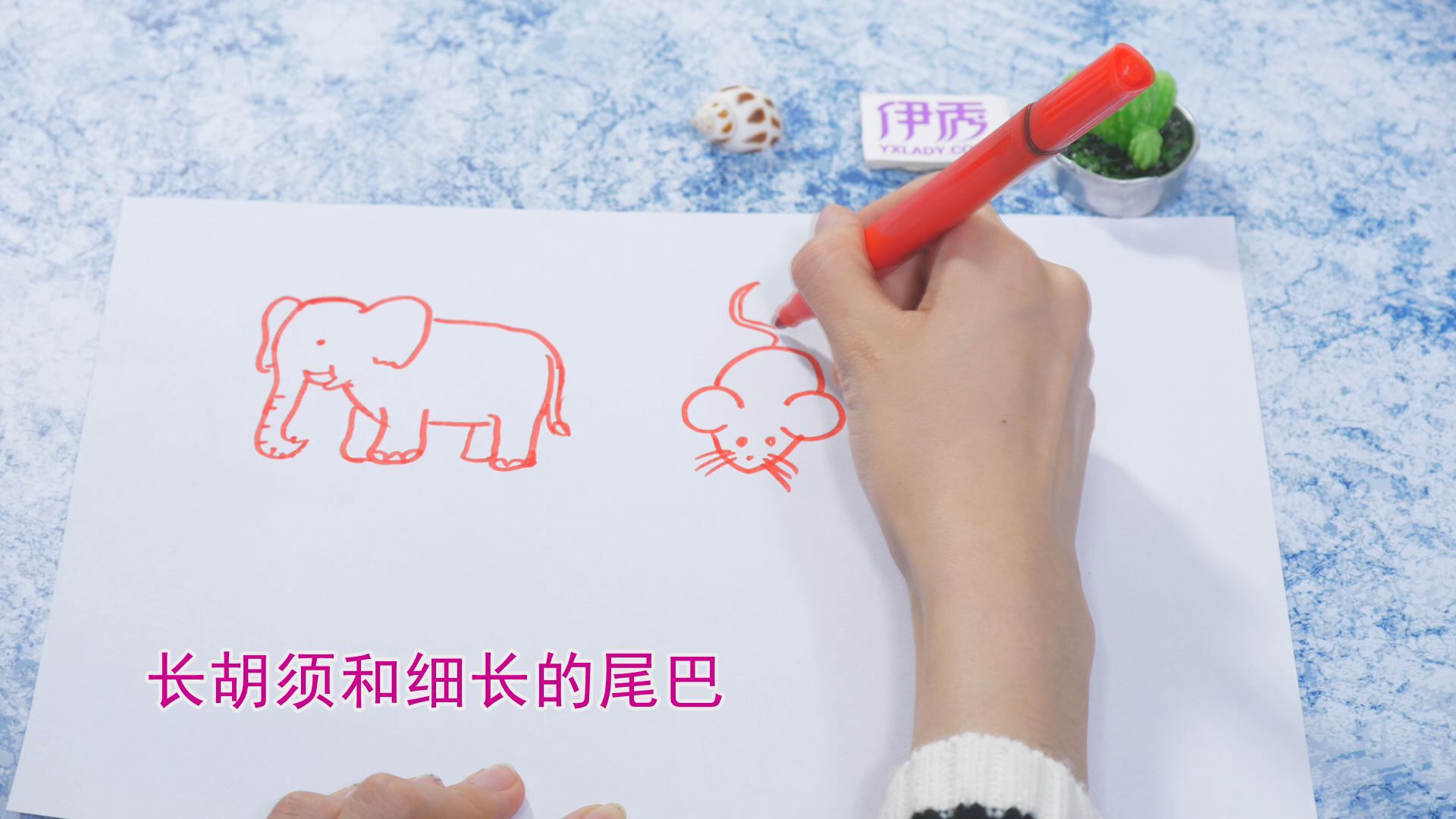 �����ʻ���ȫ|�����ʻ���ȫ|����|����|