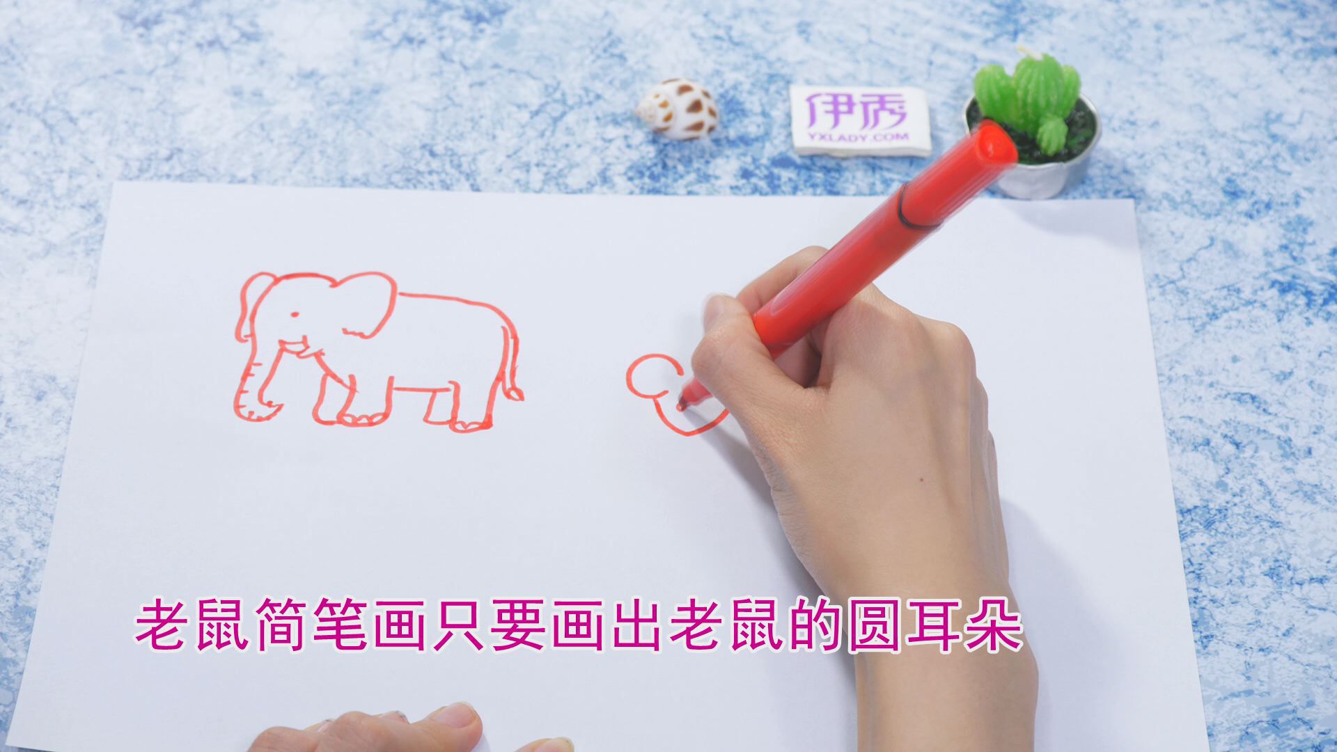 �����ʻ���ȫ|�����ʻ���ȫ|����|����|