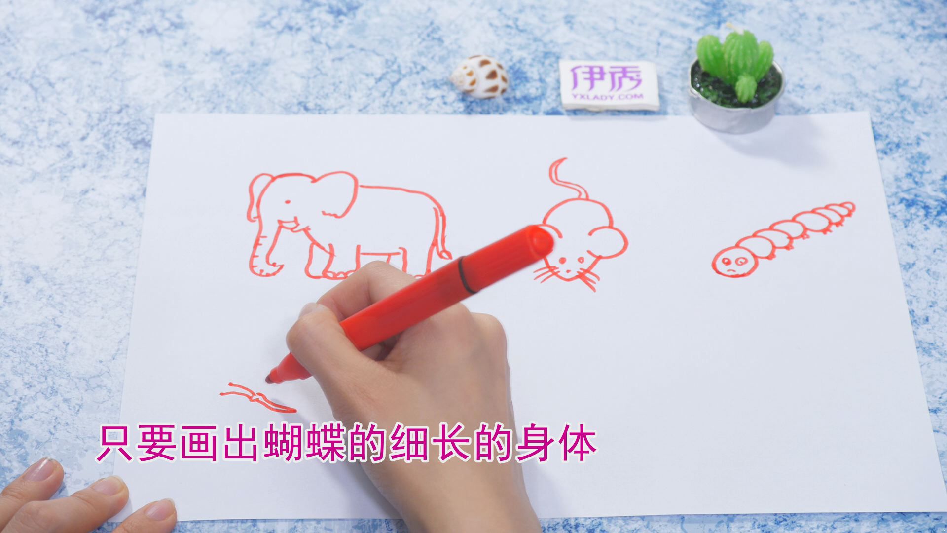 �����ʻ���ȫ|�����ʻ���ȫ|����|����|