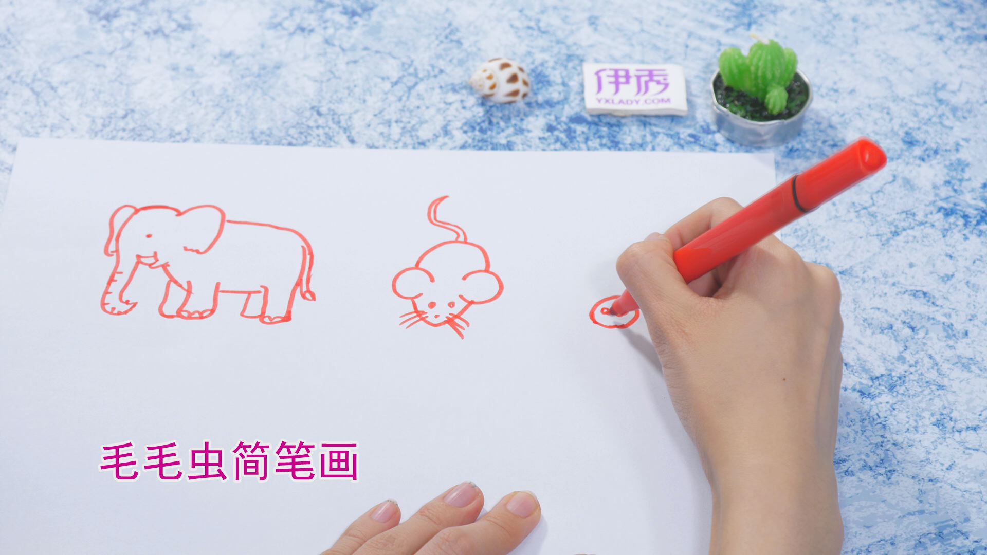 �����ʻ���ȫ|�����ʻ���ȫ|����|����|