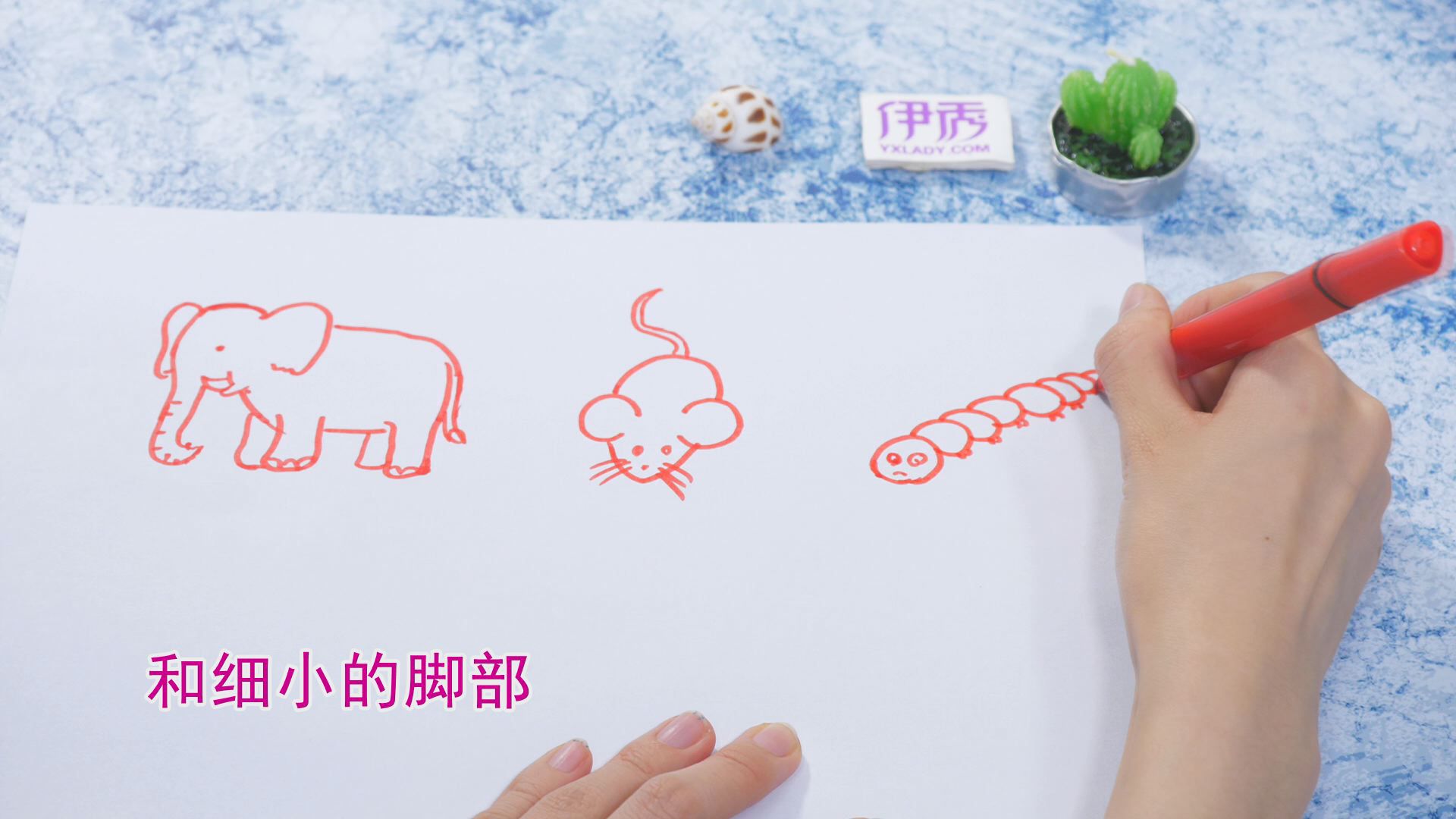 �����ʻ���ȫ|�����ʻ���ȫ|����|����|