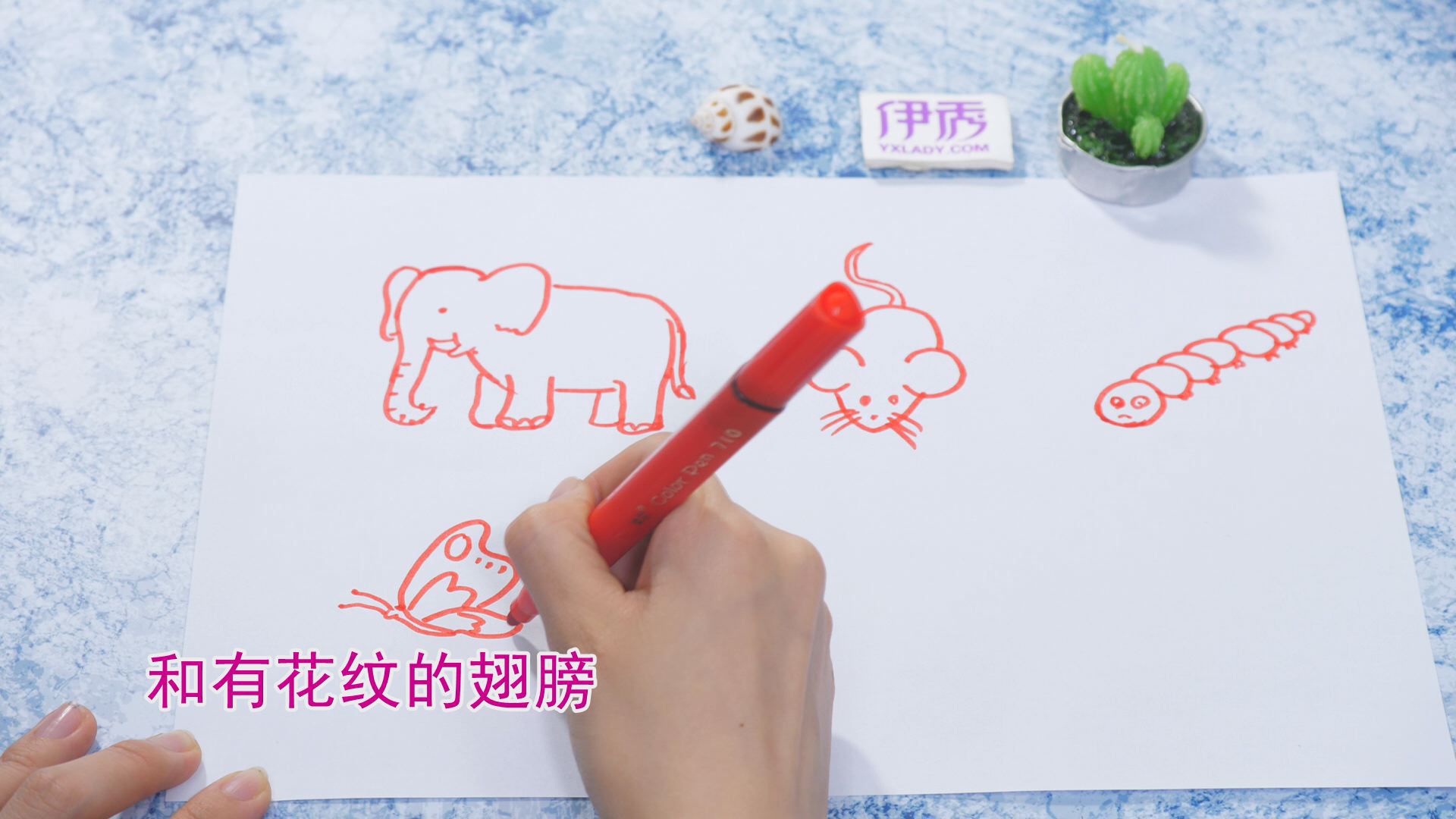 �����ʻ���ȫ|�����ʻ���ȫ|����|����|