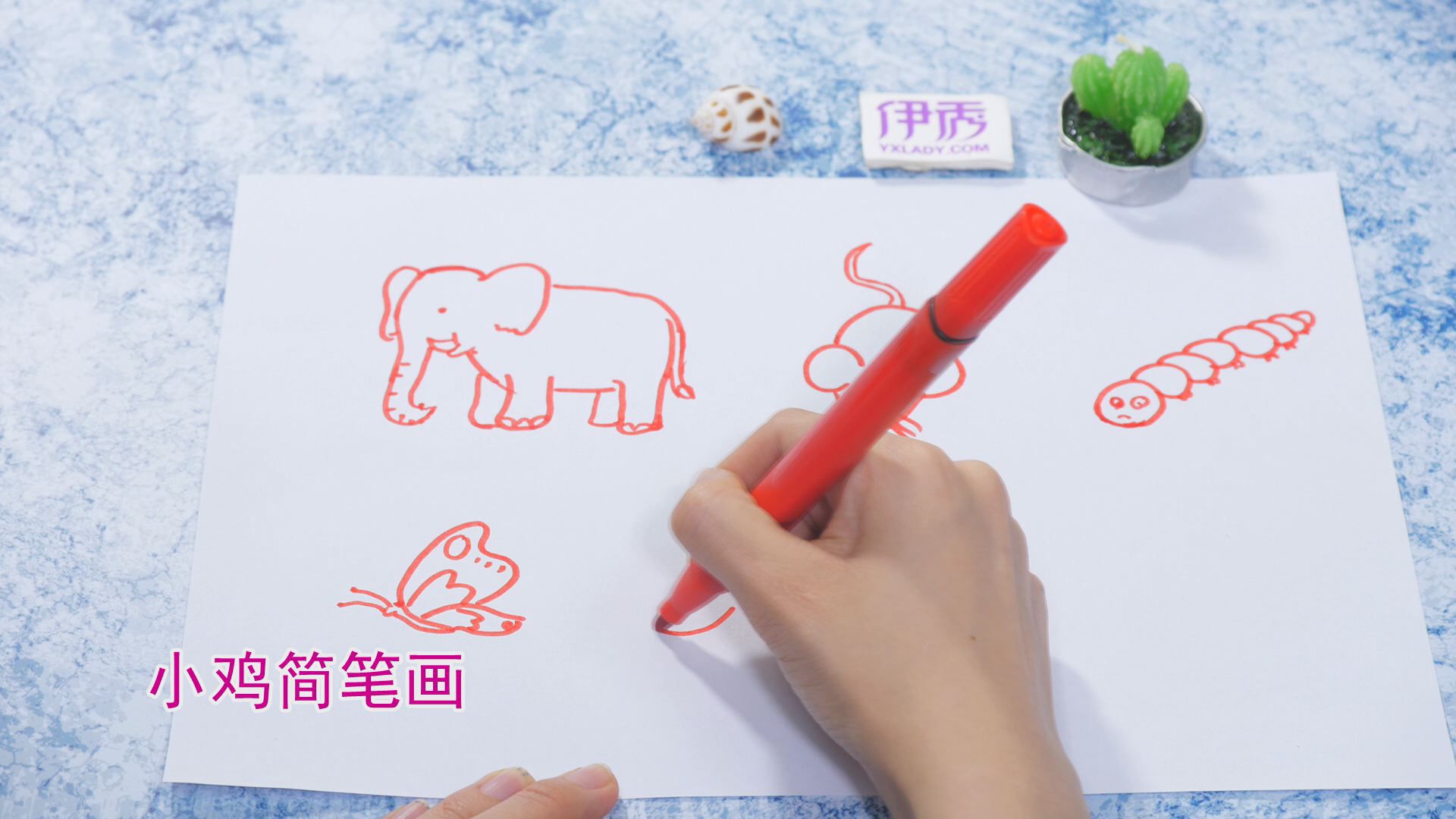 �����ʻ���ȫ|�����ʻ���ȫ|����|����|