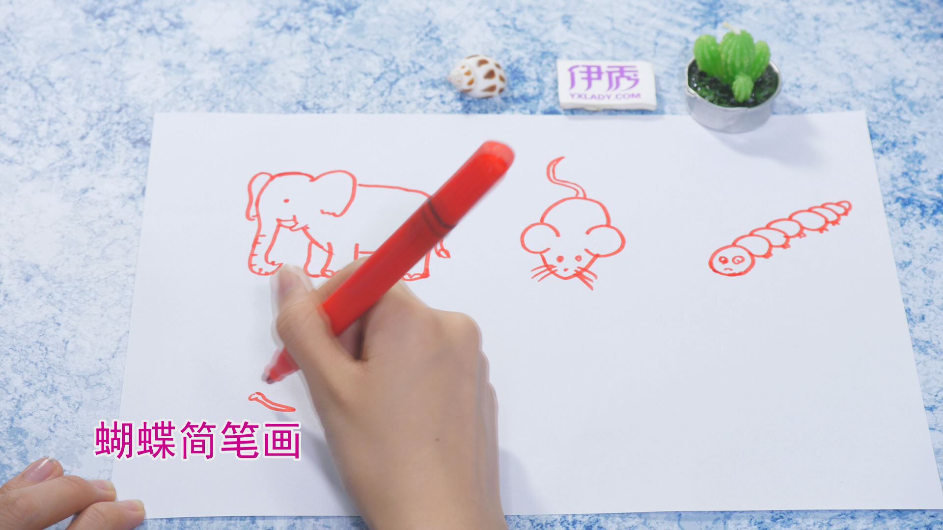 �����ʻ���ȫ|�����ʻ���ȫ|����|����|