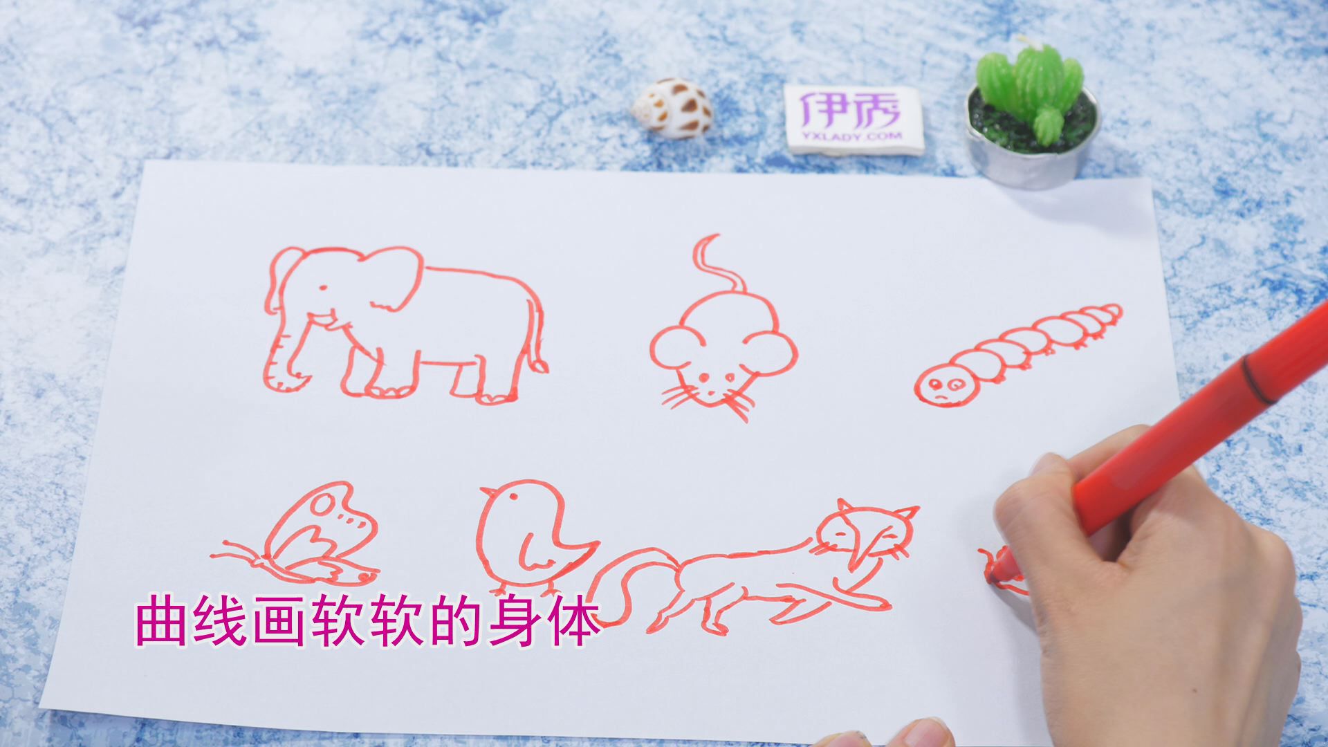 �����ʻ���ȫ|�����ʻ���ȫ|����|����|