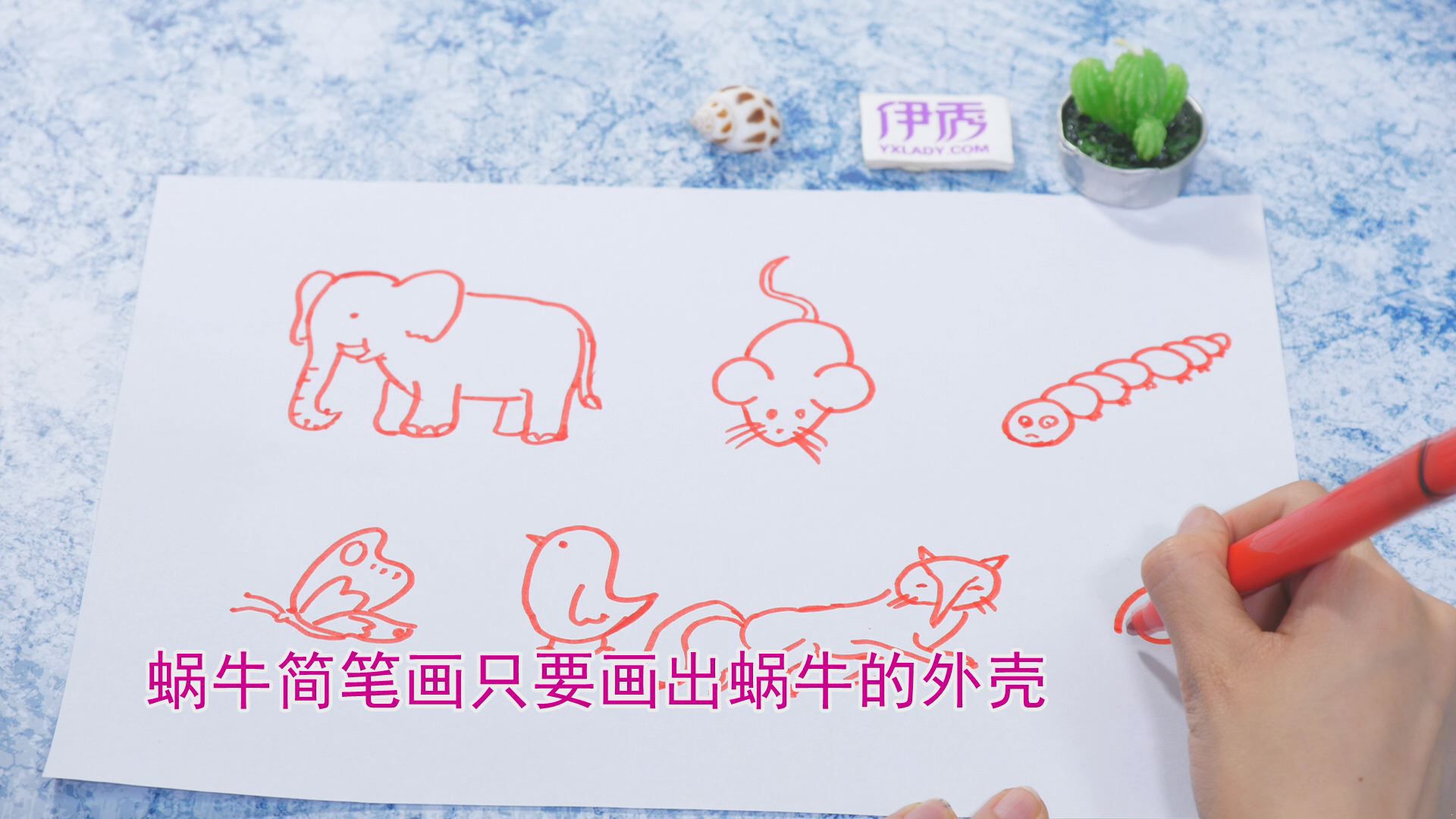 �����ʻ���ȫ|�����ʻ���ȫ|����|����|