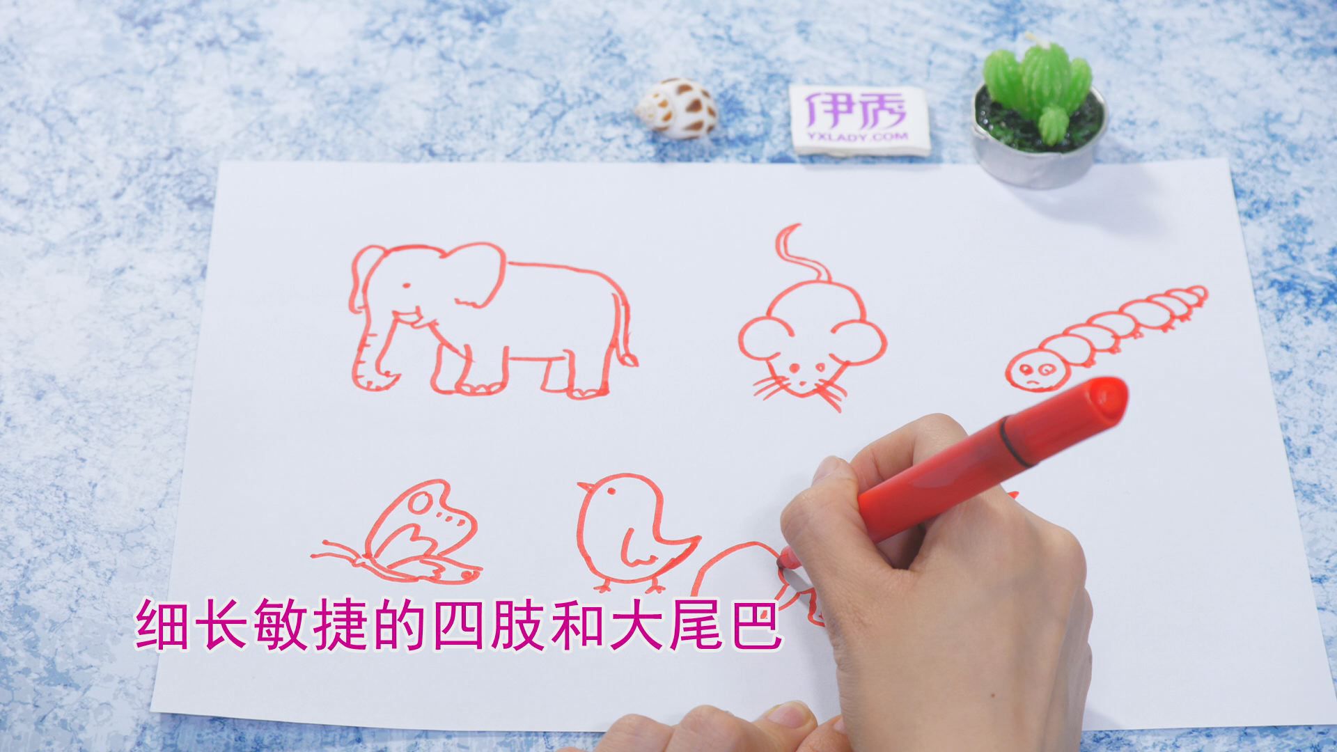 �����ʻ���ȫ|�����ʻ���ȫ|����|����|