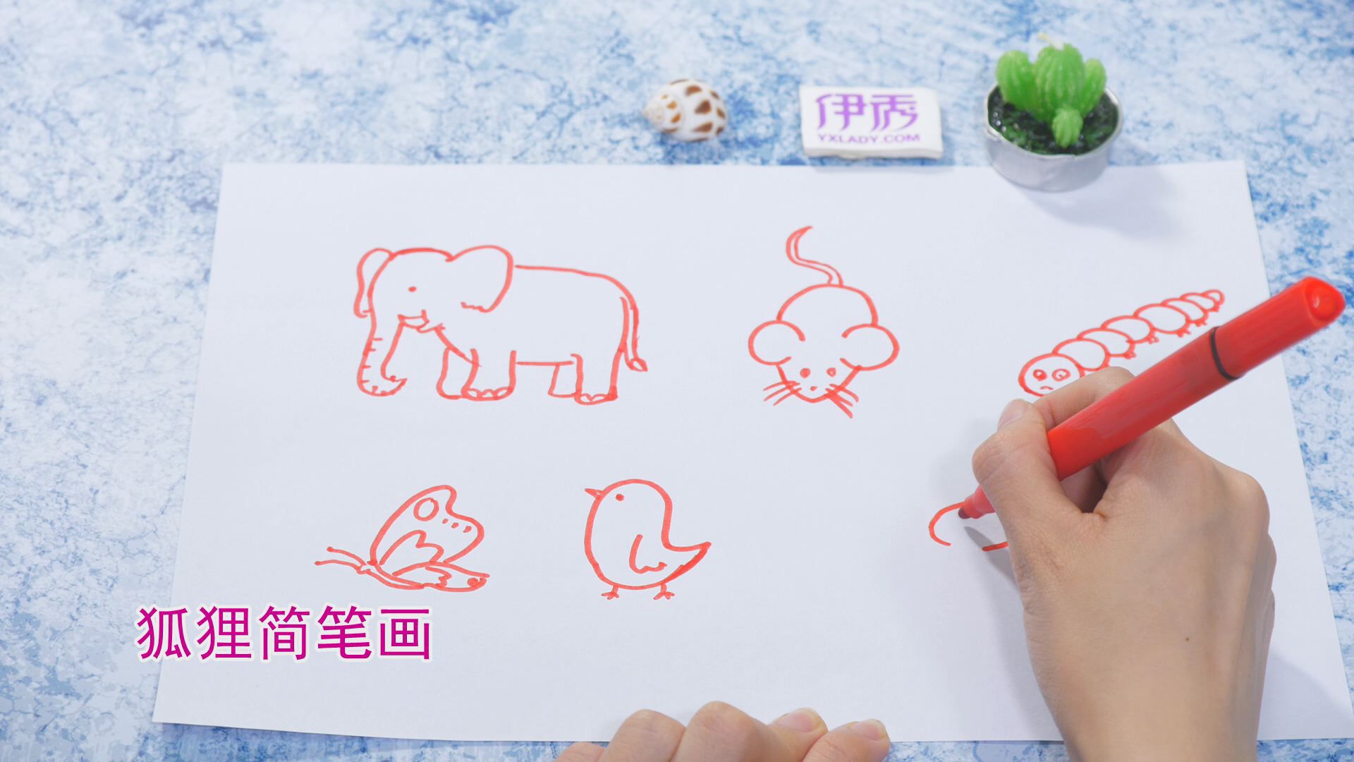 �����ʻ���ȫ|�����ʻ���ȫ|����|����|