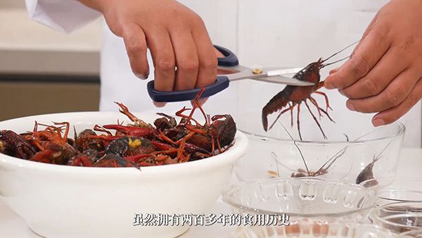 小龙虾的做法窍门一学就会 麻辣口味越吃越爽 小龙虾的做法|小龙虾|麻辣小龙虾的做法|